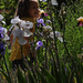Irises by janeandcharlie