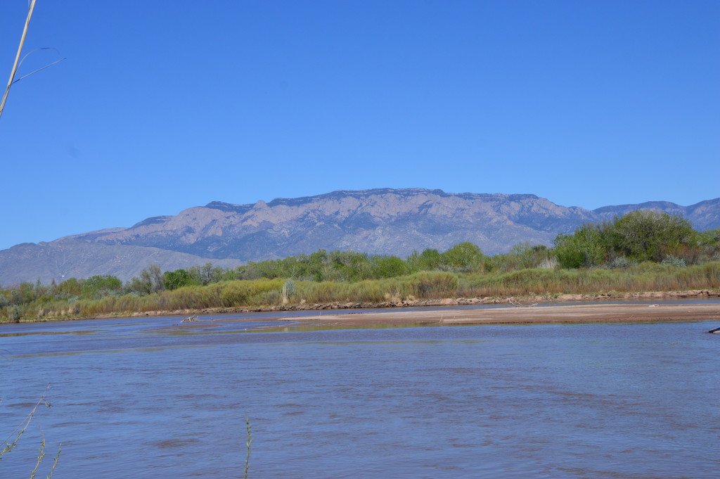 Rio Grande Is Filling With Water. by bigdad