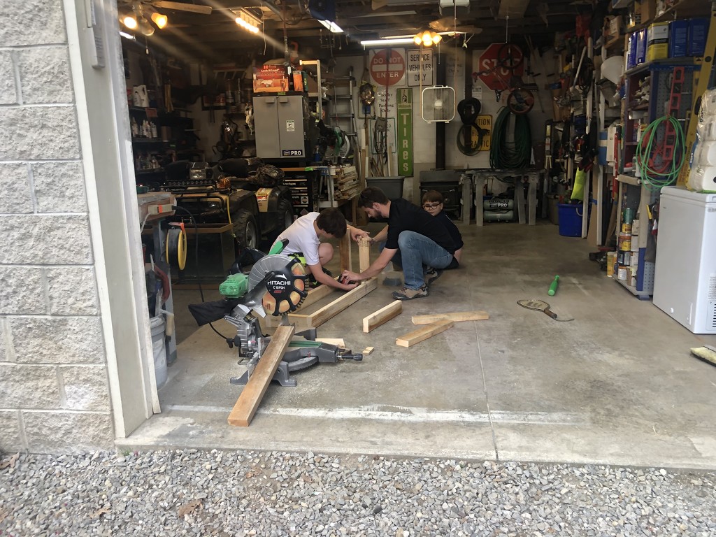 Building a Stand for a new Turtle we will be getting by mistyhammond