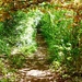Path to the Homestead Park by fishers