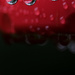 Red + Drops by lsquared