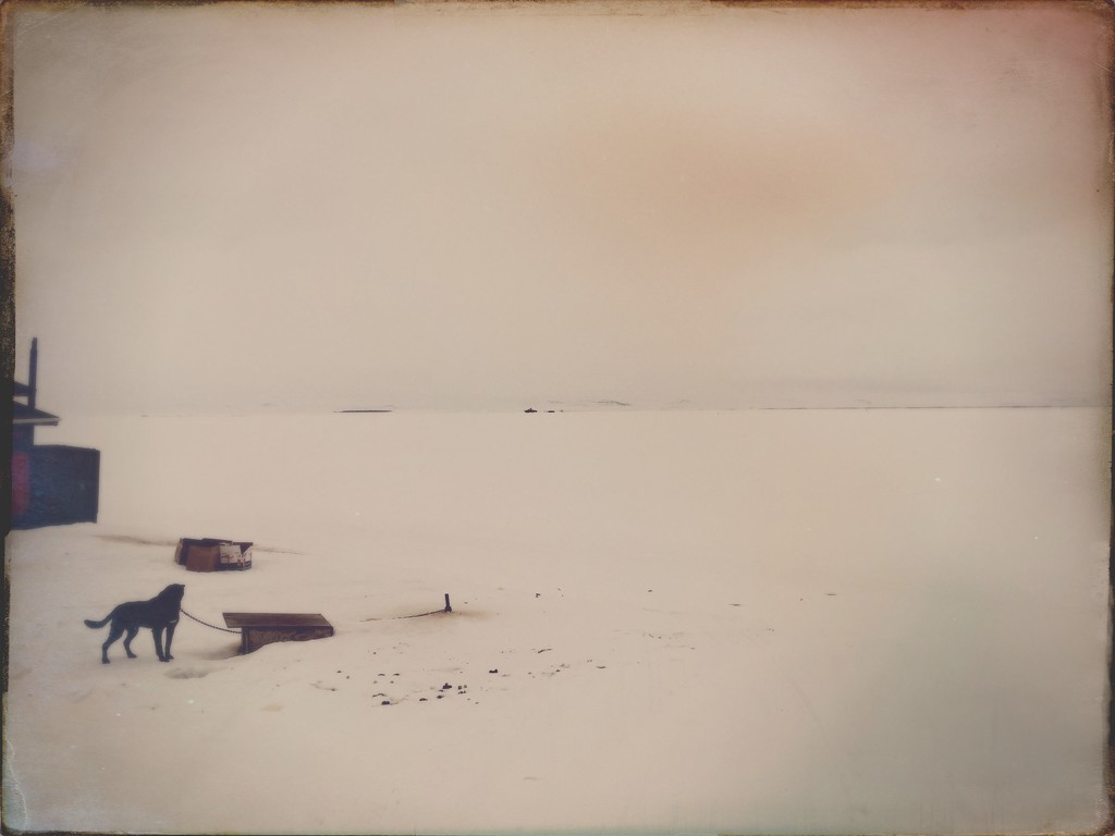 Arctic Landscape by jetr