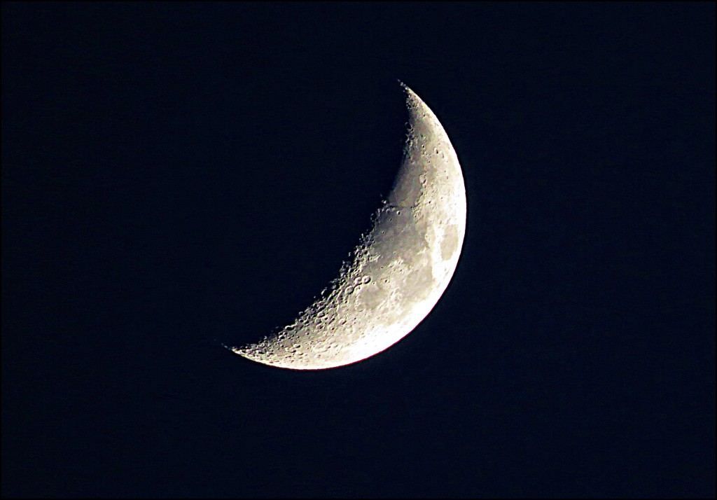 Crescent Moon April 28, 2020 by olivetreeann