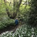 Explorer by daffodill