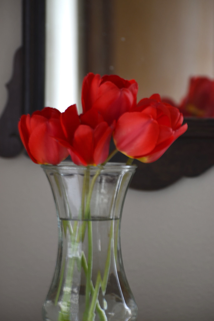Tulip Bouquet by bjywamer