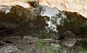 28th Apr 2020 - Nice landscape - upside down - even better......