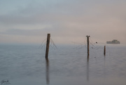 30th Apr 2020 - Fog on the Lake