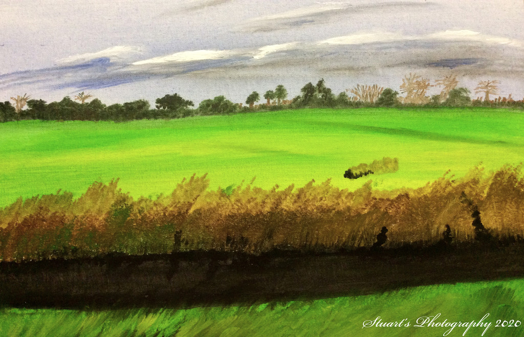 Countryside (painting) by stuart46