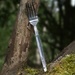 Fork in a Branch by 30pics4jackiesdiamond