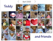 30th Apr 2020 - 30 Shots - Teddy - All 30