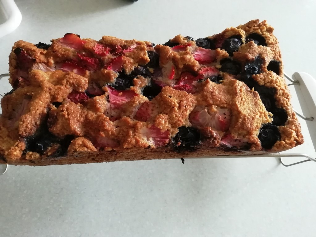 Day 45  Blueberry and Strawberry bread by jennymdennis
