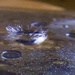 Water Crown by wakelys