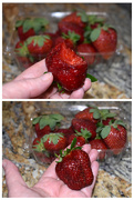 30th Apr 2020 - Yummy strawberries