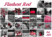 1st Mar 2020 - flashest red month shot