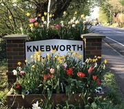 20th Apr 2020 - Welcome to Knebworth