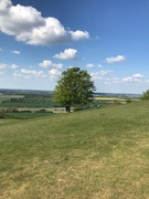 26th Apr 2020 - Sunday Afternoon on Pegsden Hill 