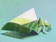 19th Apr 2020 - Origami: Sea Shell