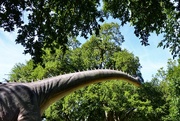 2nd May 2020 - Brachiosaurus to the rescue 