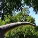 Brachiosaurus to the rescue  by louannwarren