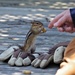 My hubby and the chipmunk by radiogirl