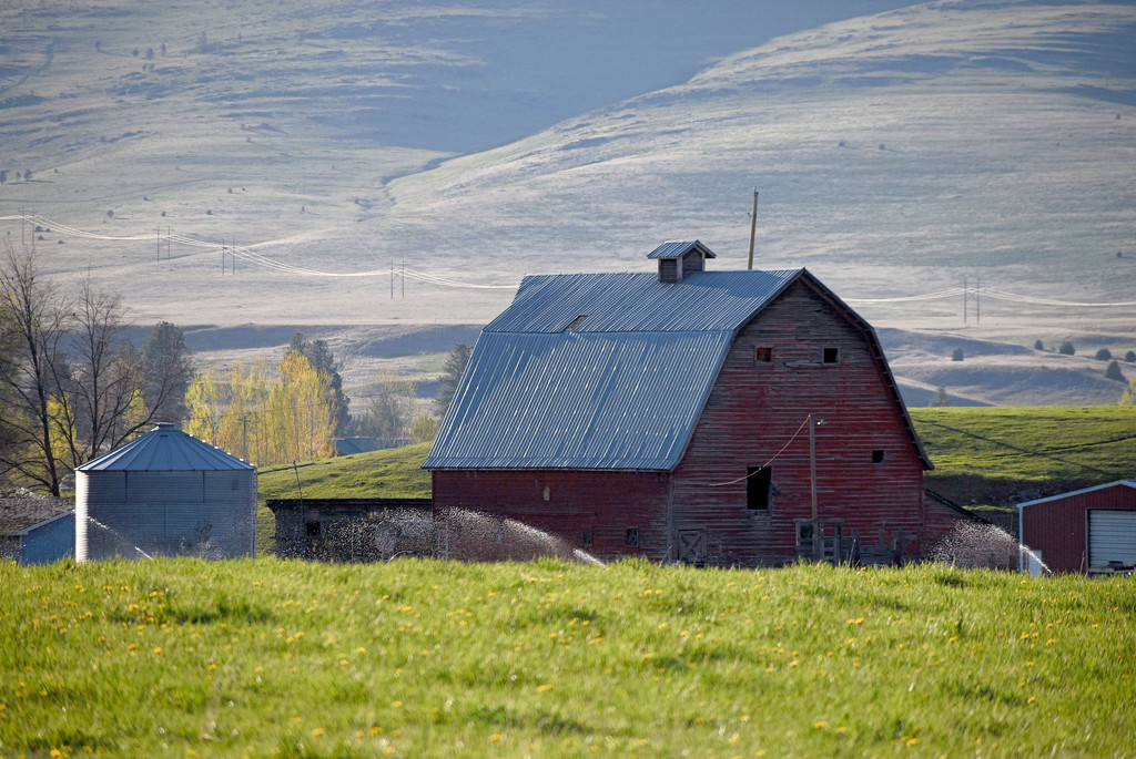Rural Montana  by bjywamer