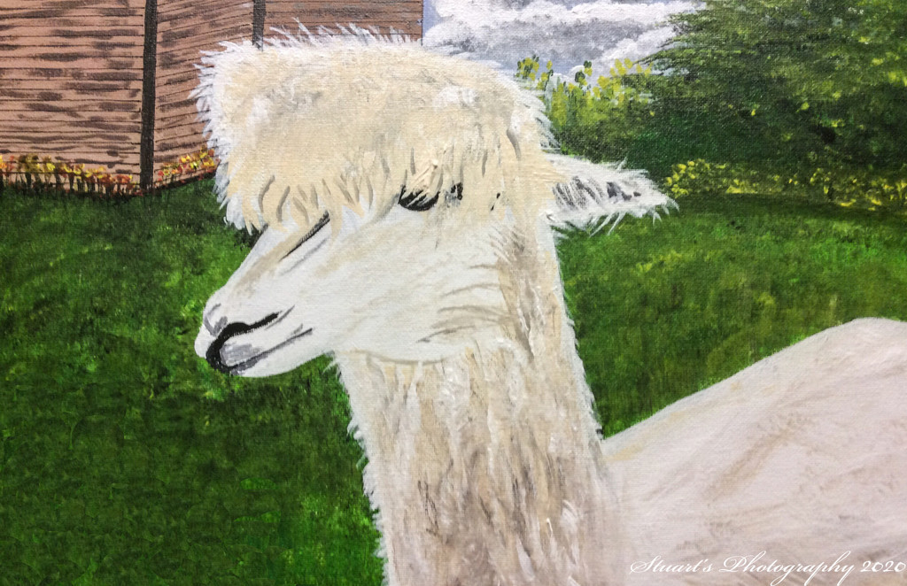 Llama (painting) by stuart46