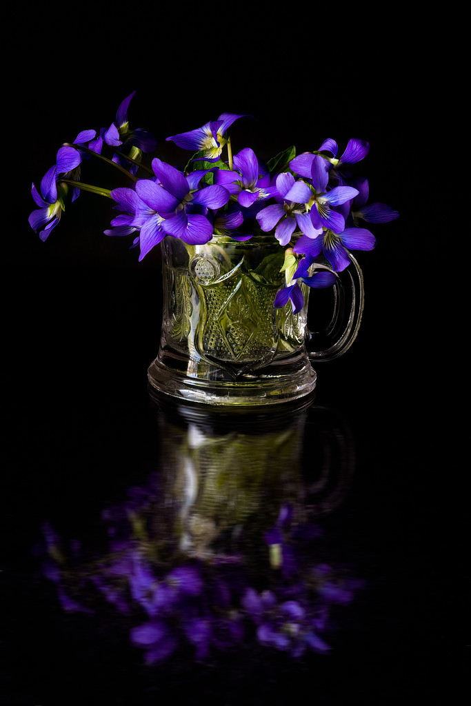 bouquet of violets  by jernst1779