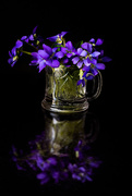 3rd May 2020 - bouquet of violets 