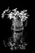 3rd May 2020 - violets reflection bnw