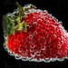 Strawberry by kvphoto