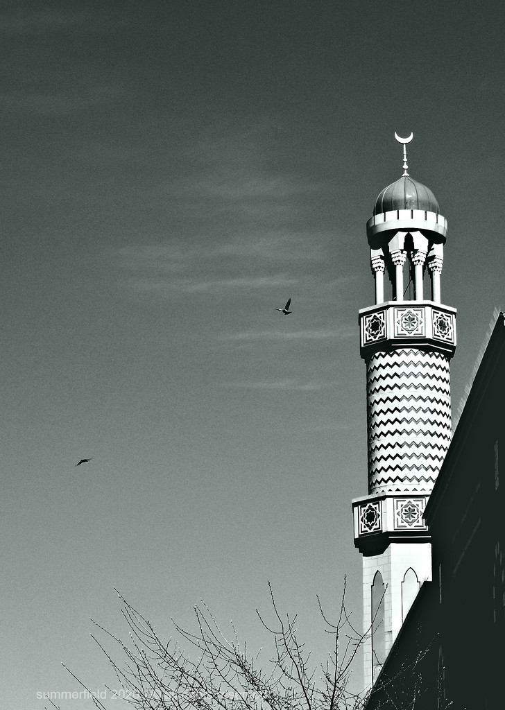 minaret by summerfield