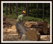 4th May 2020 - Back logging