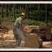 Back logging by dide