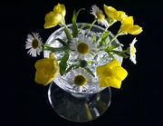 4th May 2020 - Buttercups & Daisies 
