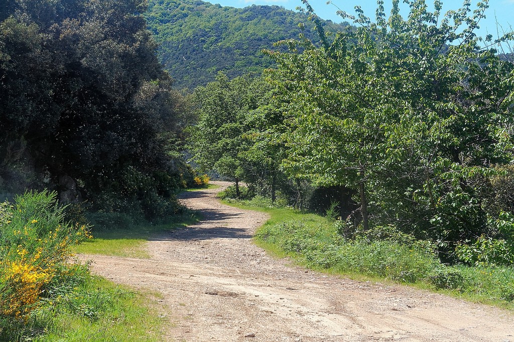 Confinement, day 49 (Not so confined, the track to Spain) by laroque