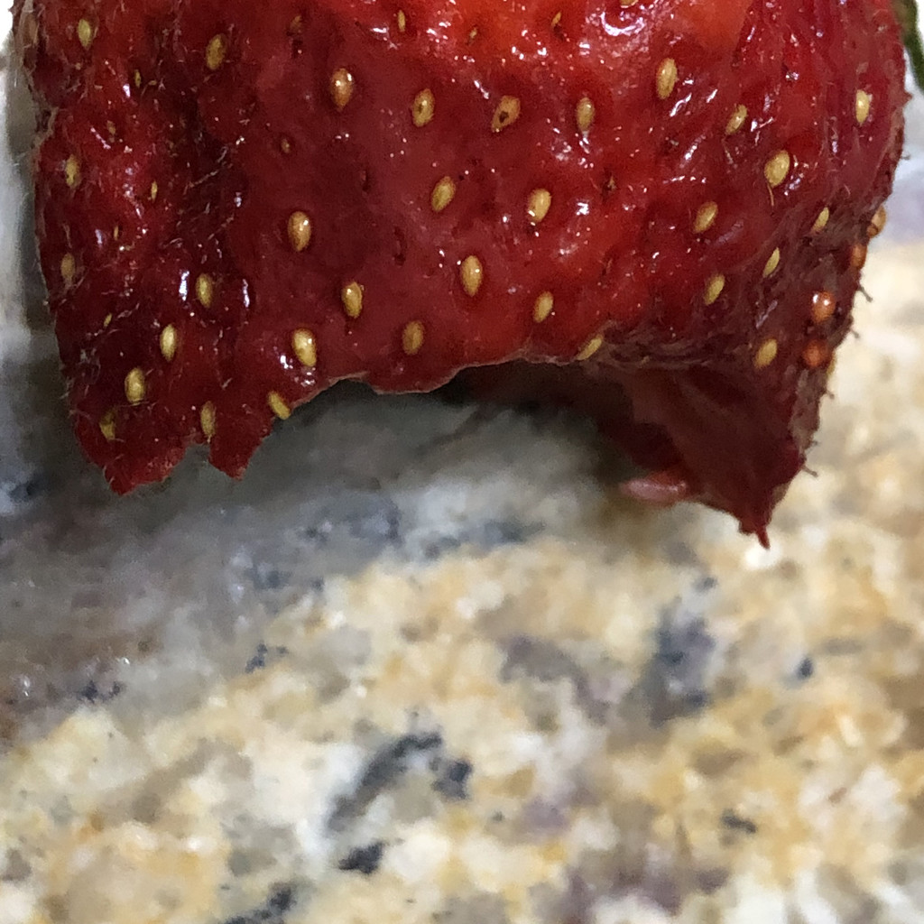 Half eaten strawberry by homeschoolmom