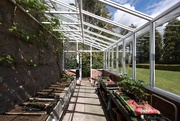 5th May 2020 - Greenhouse in full swing!