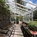 Greenhouse in full swing! by jamibann