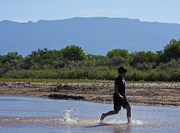 5th May 2020 - Running in the Rio Grande, Albuquerque, New Mexico, USA