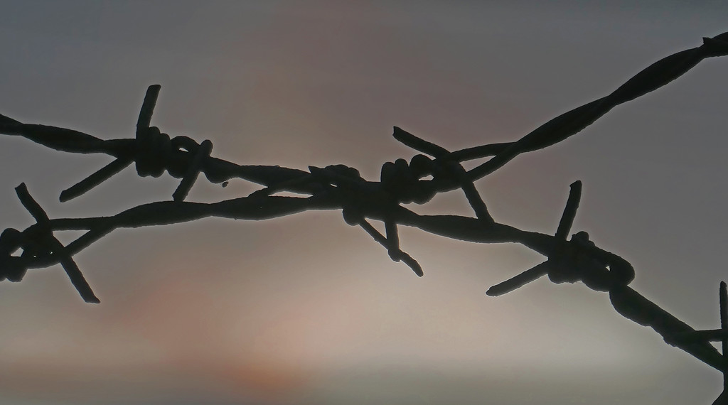 Barbed Wire at Sunset by lilh