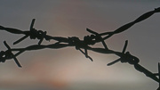 5th May 2020 - Barbed Wire at Sunset
