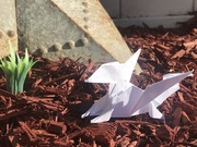 23rd Apr 2020 - White Dragon: Origami 
