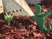 21st Apr 2020 - Green Dragon: Origami 