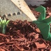 Green Dragon: Origami  by jnadonza