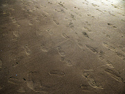 5th May 2020 - Footprints in the sand