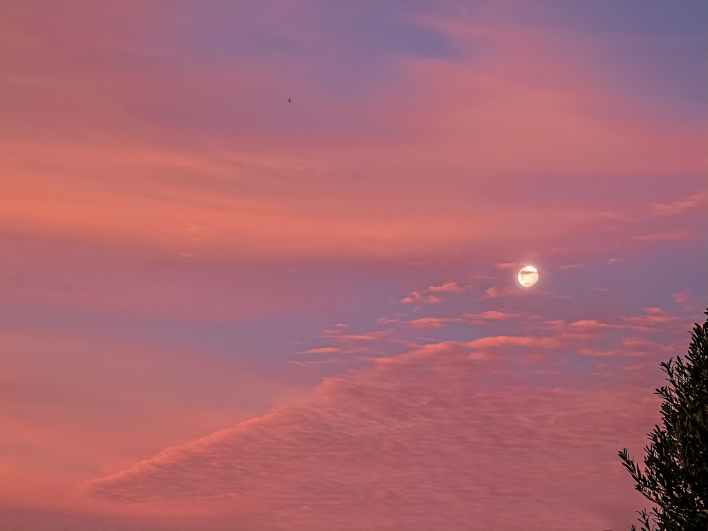 Moon surrounded by pink clouds by ludwigsdiana