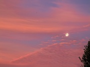 6th May 2020 - Moon surrounded by pink clouds