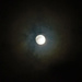 Halo moon by larrysphotos