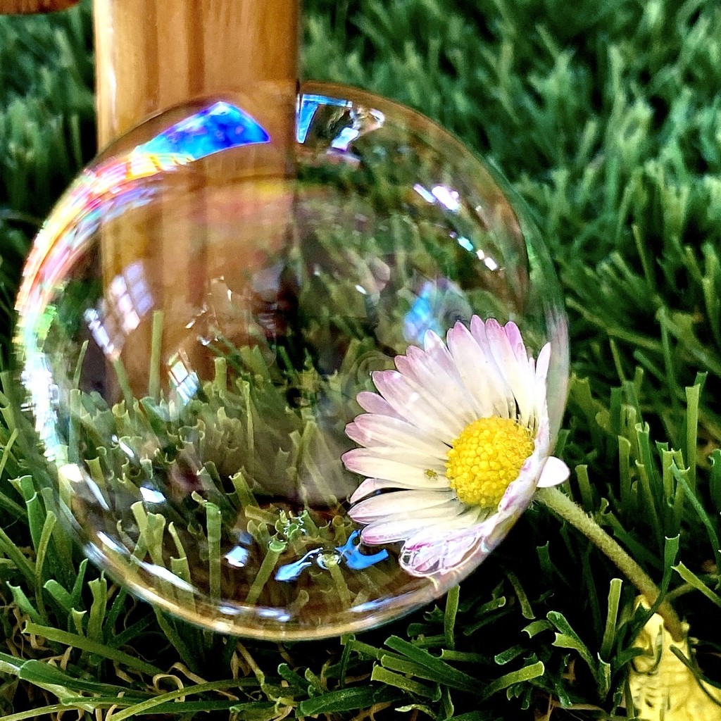 Bubble daisy by bizziebeeme