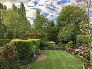 1st May 2020 - My Garden in Spring